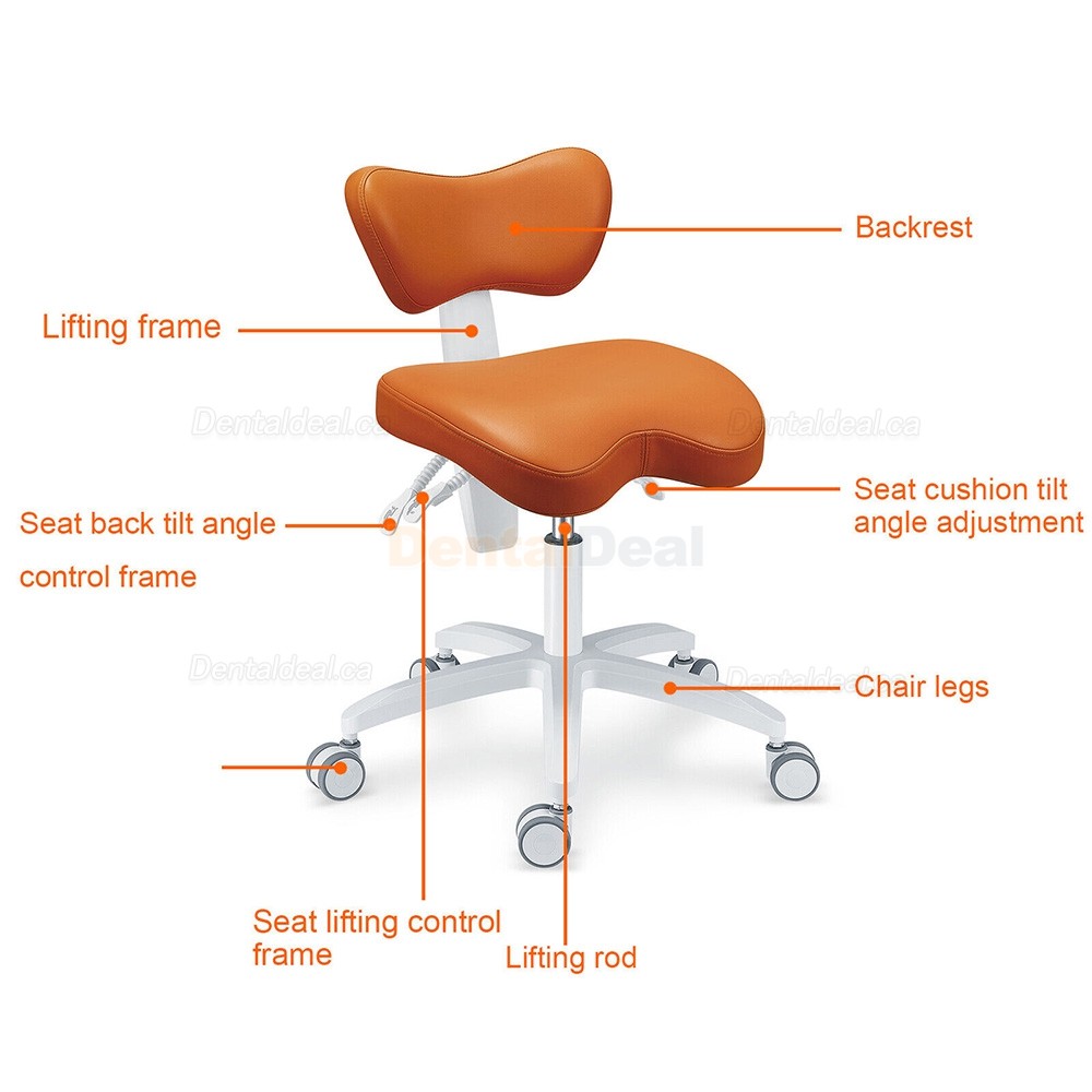 TYTC PLST-060 Ergonomic Dental Operator Assistant Chair Dentist Stool with Backrest Adjustable